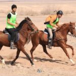 مسابقه سوارکاری استانی در رفسنجان برگزار شد